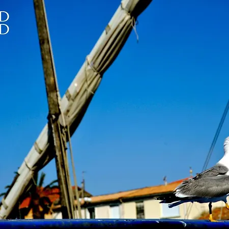 Appartement La Cocardiere - Proche De La